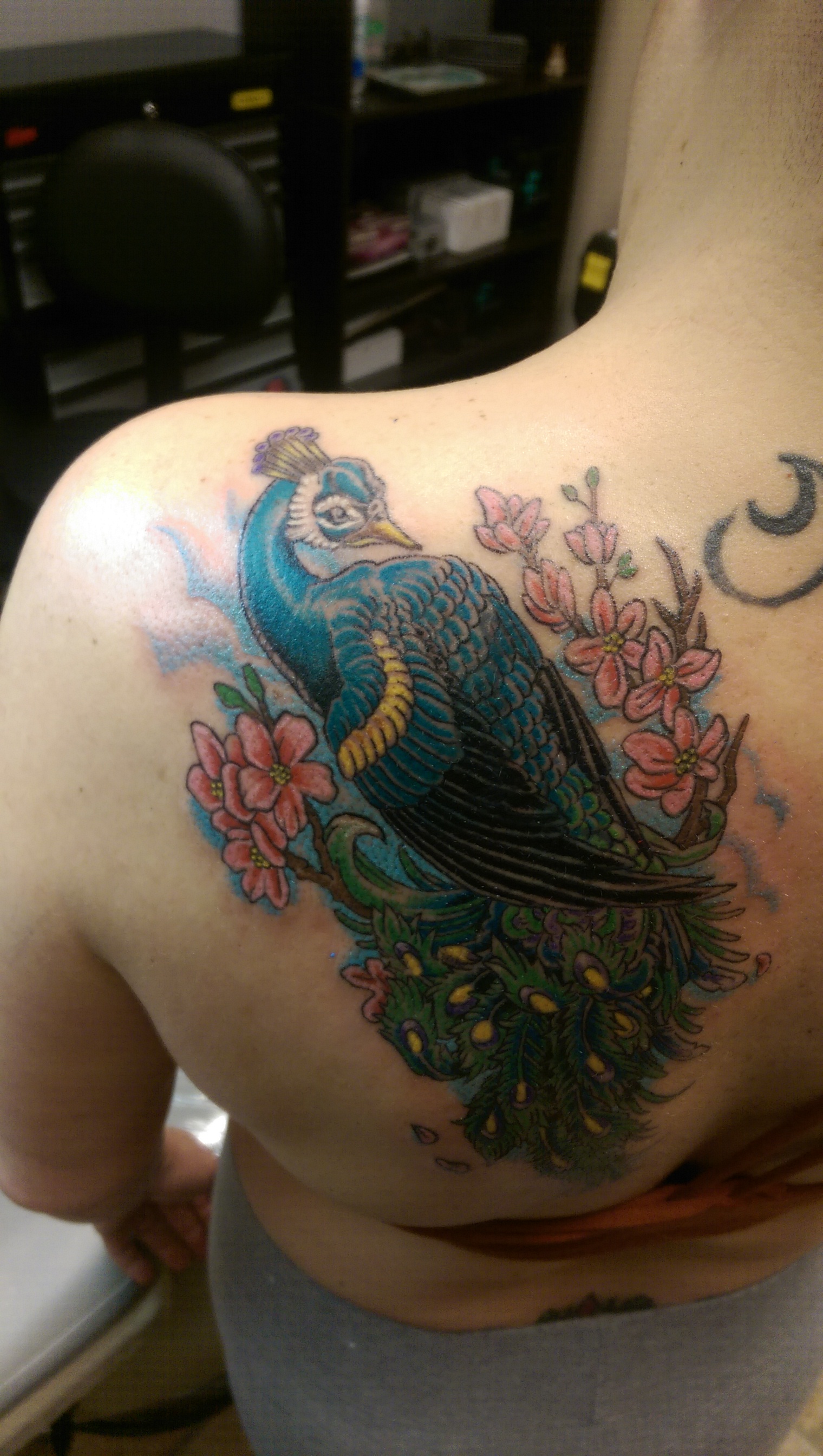 Peacock Tattoo | Skinhouse Studio