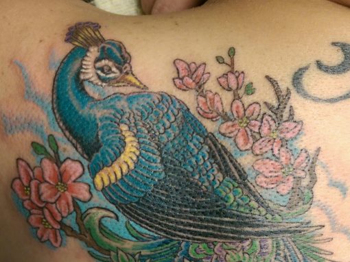 Peacock Tattoo