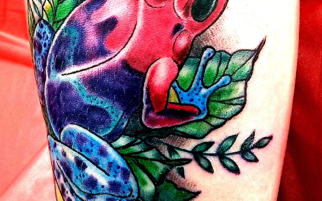 Dart Frog Tattoo Longmont